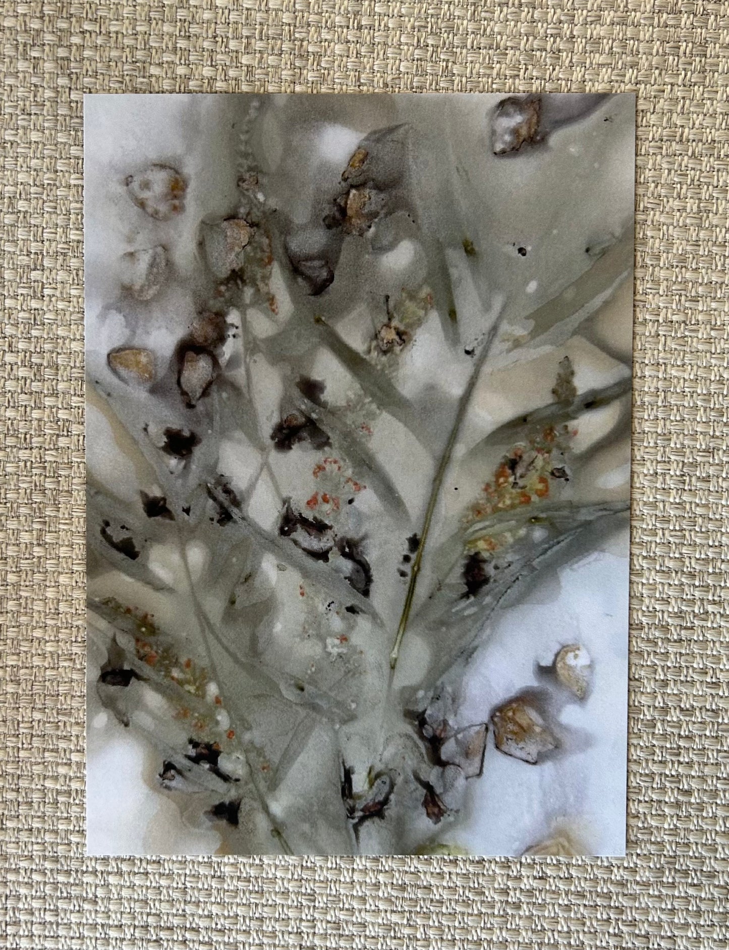 Eco Print C 5x7