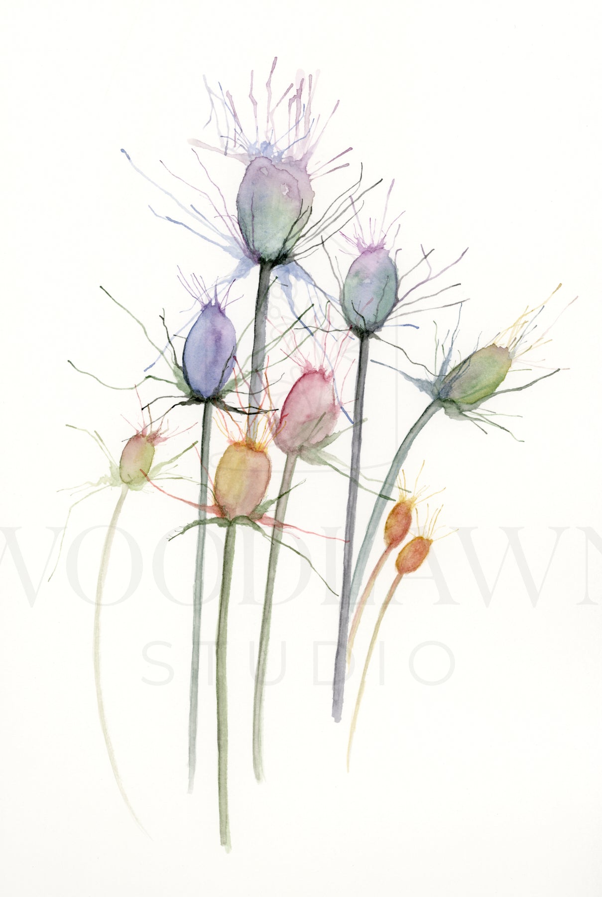 Abstract Thistle Original Artwork