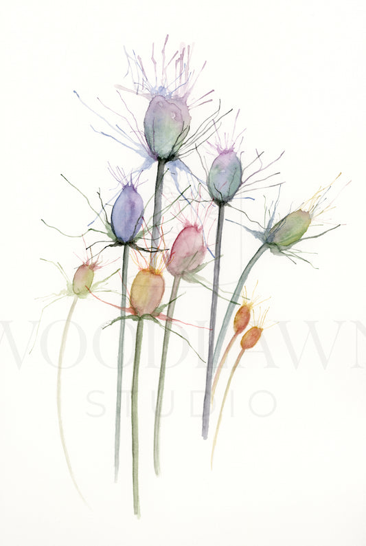 Abstract Thistle Original Artwork