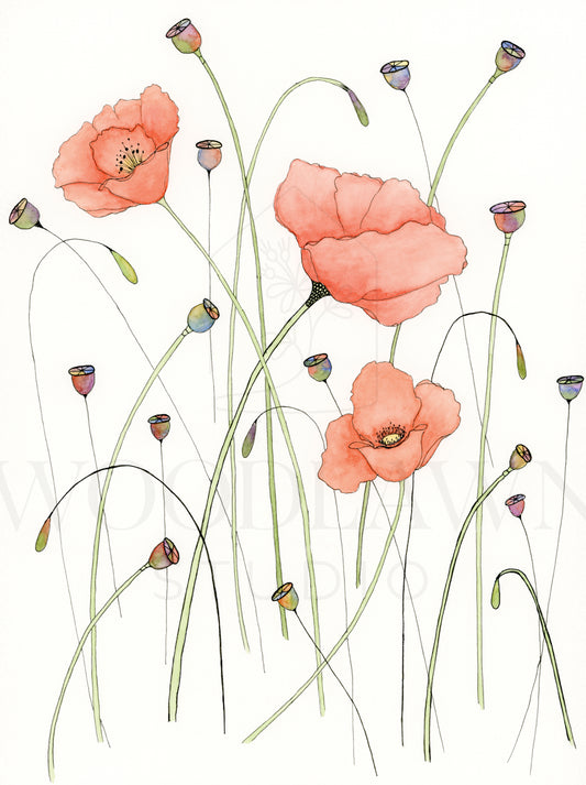 Poppies and Pods Original Artwork