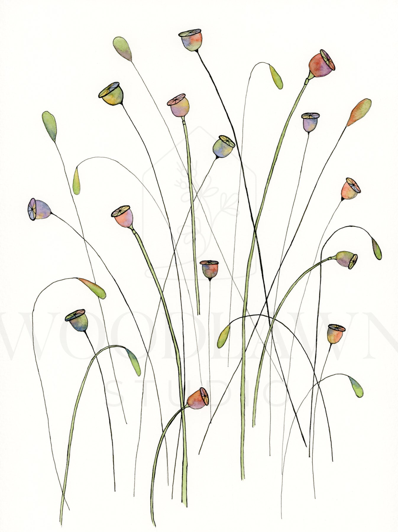 Poppy Seed Pods Original Artwork