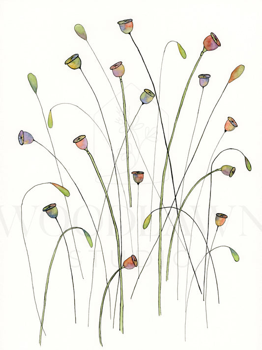 Poppy Seed Pods Original Artwork