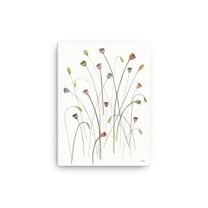 Poppy Seed Pods Canvas Print