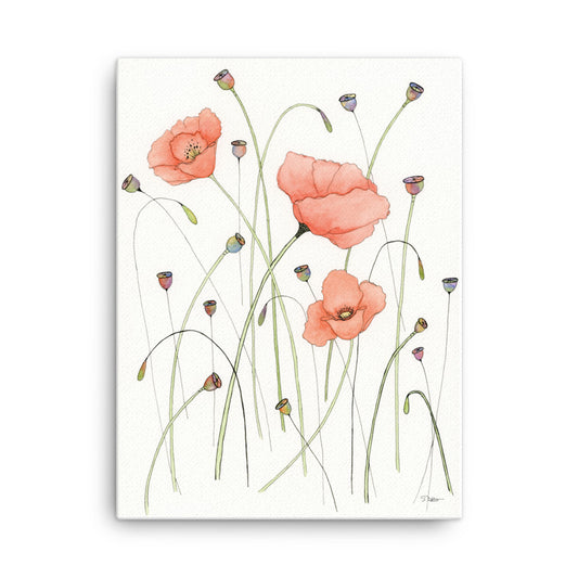 Poppies and Pods Canvas Print