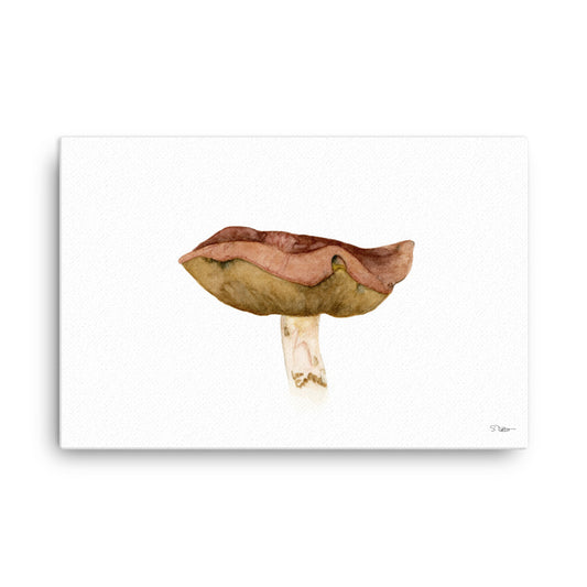 Bolete Mushroom (A) Canvas Print