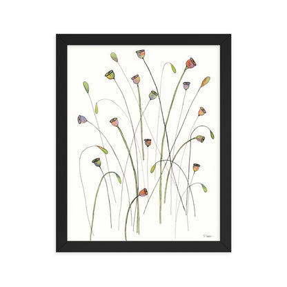 Poppy Seed Pods Framed Print