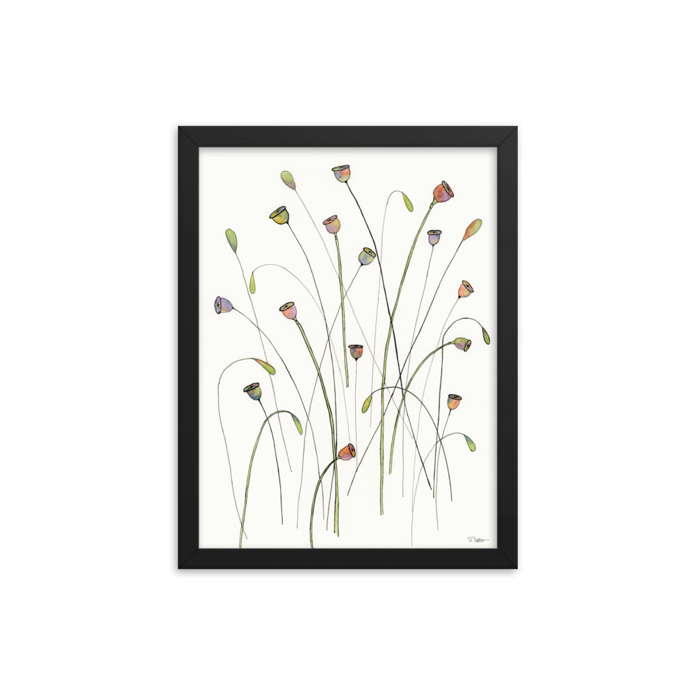 Poppy Seed Pods Framed Print