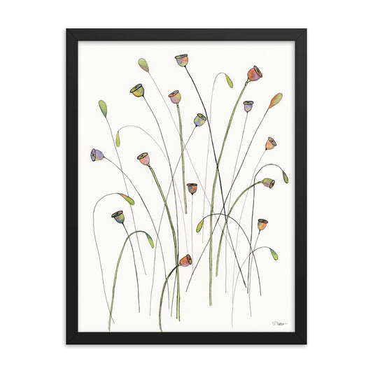 Poppy Seed Pods Framed Print