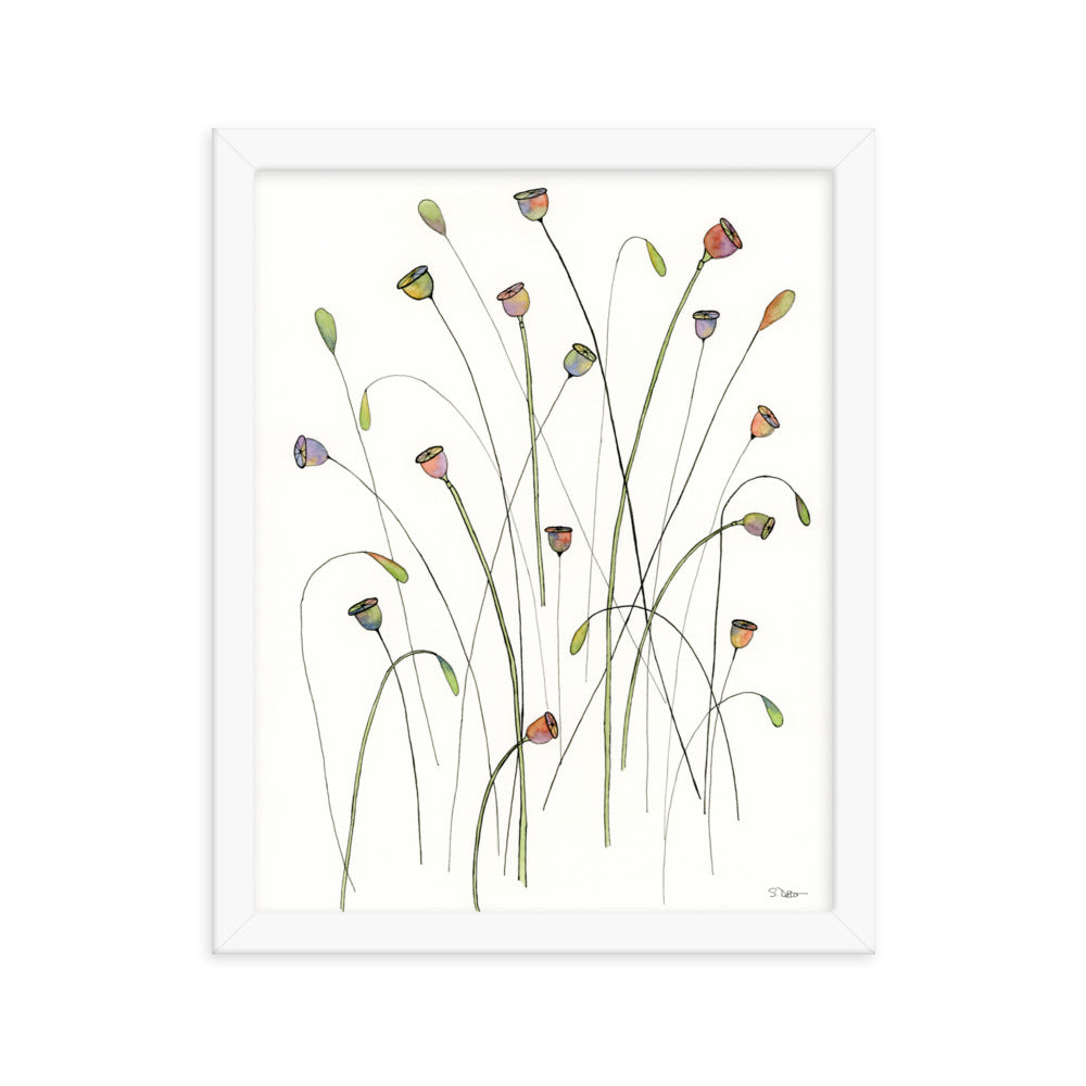 Poppy Seed Pods Framed Print