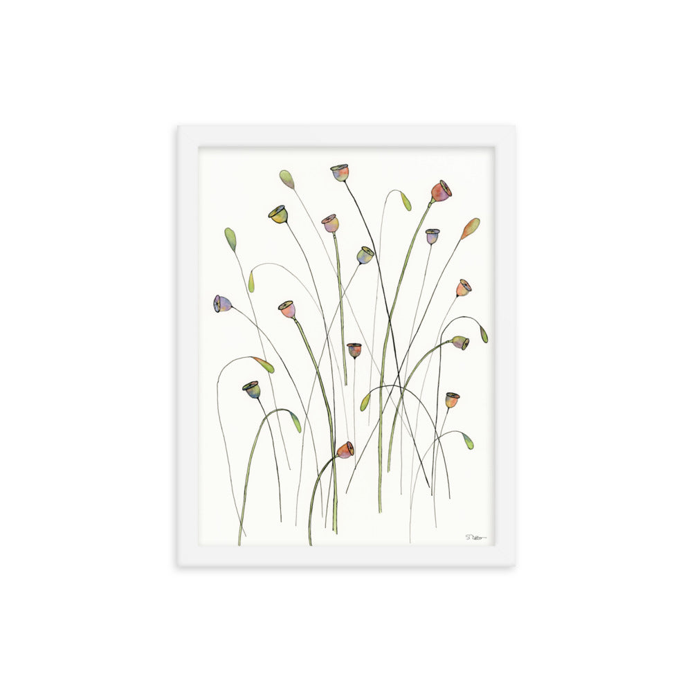 Poppy Seed Pods Framed Print