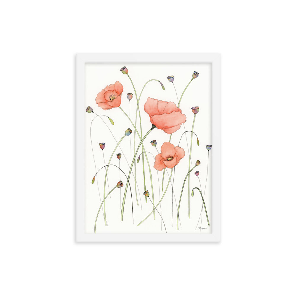 Poppies and Pods Framed Print