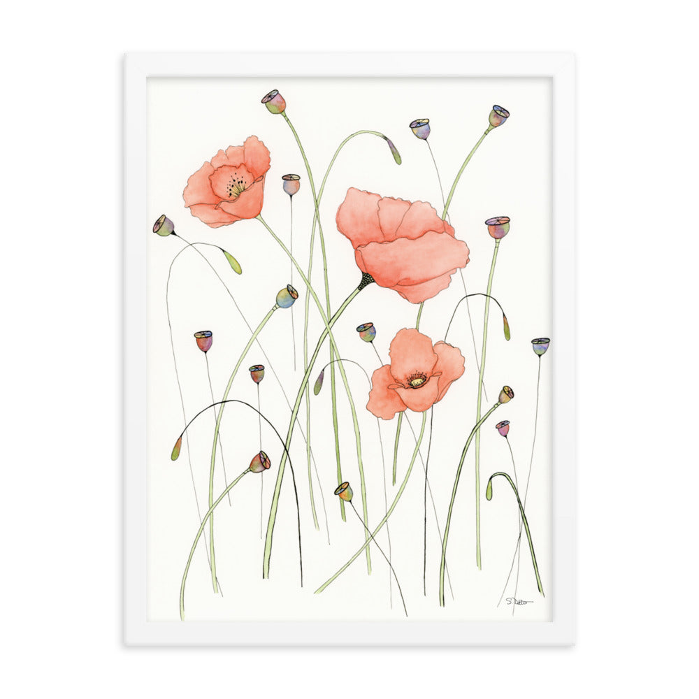 Poppies and Pods Framed Print