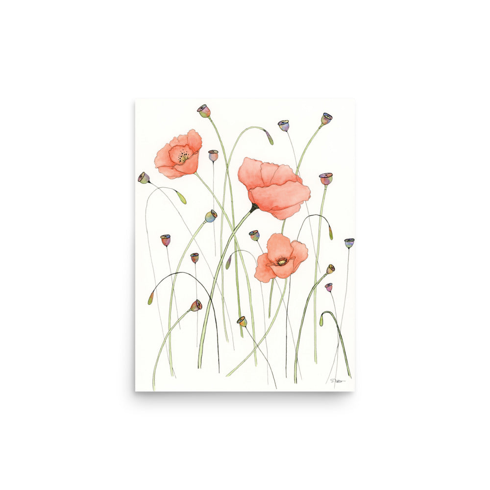 Poppies and Pods Premium Print