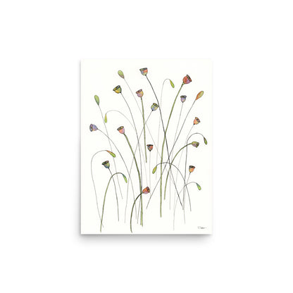 Poppy Seed Pods Premium Print