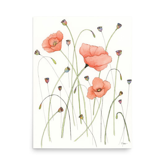 Poppies and Pods Premium Print