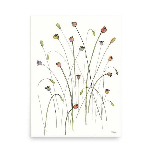 Poppy Seed Pods Premium Print