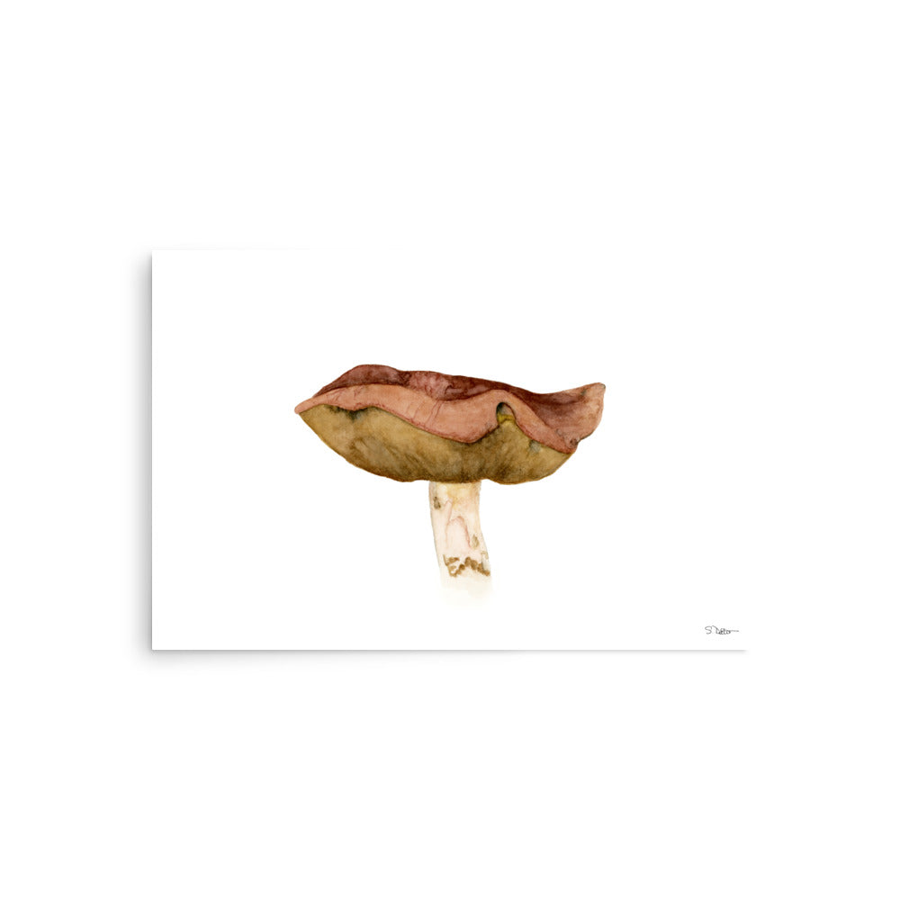 Bolete Mushroom (A) Premium Print