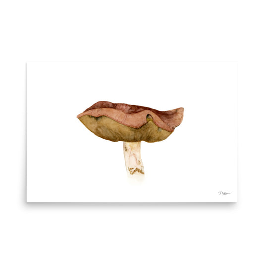 Bolete Mushroom (A) Premium Print