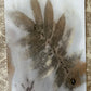 Eco Print A 8x10